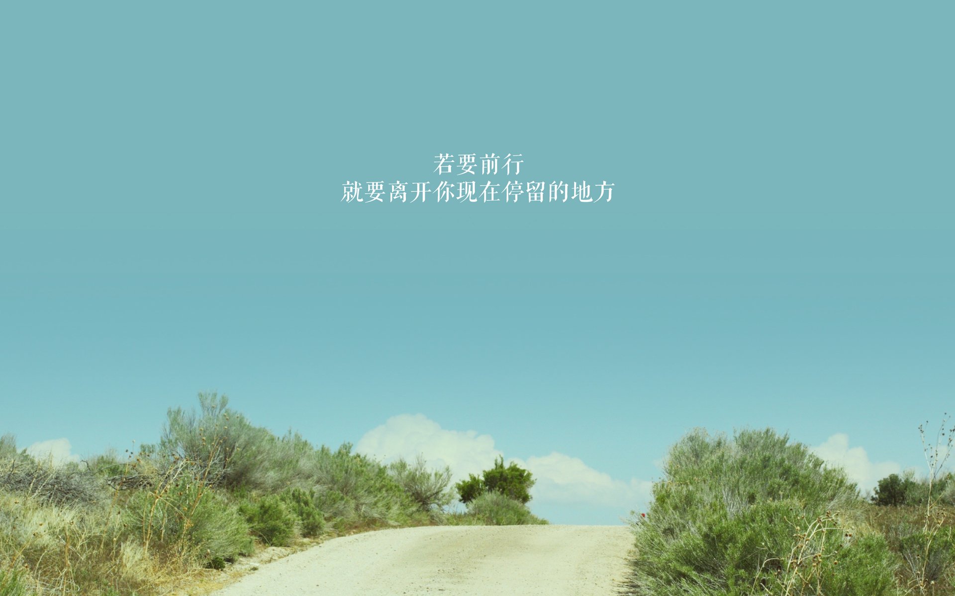 熊猫体育APP-_年度超级挑战：最强选手的终极较量_，终极挑战赛