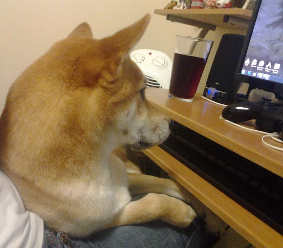 熊猫体育网页版-全国青少年“篮球+未来”科技创新大赛火热开幕，青少年篮球职业联赛