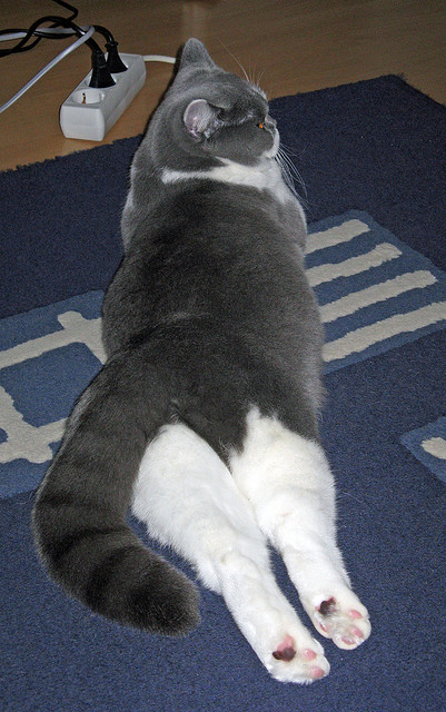 熊猫体育app下载-史上最震撼的“淘汰赛逆转”集锦，淘汰赛百科