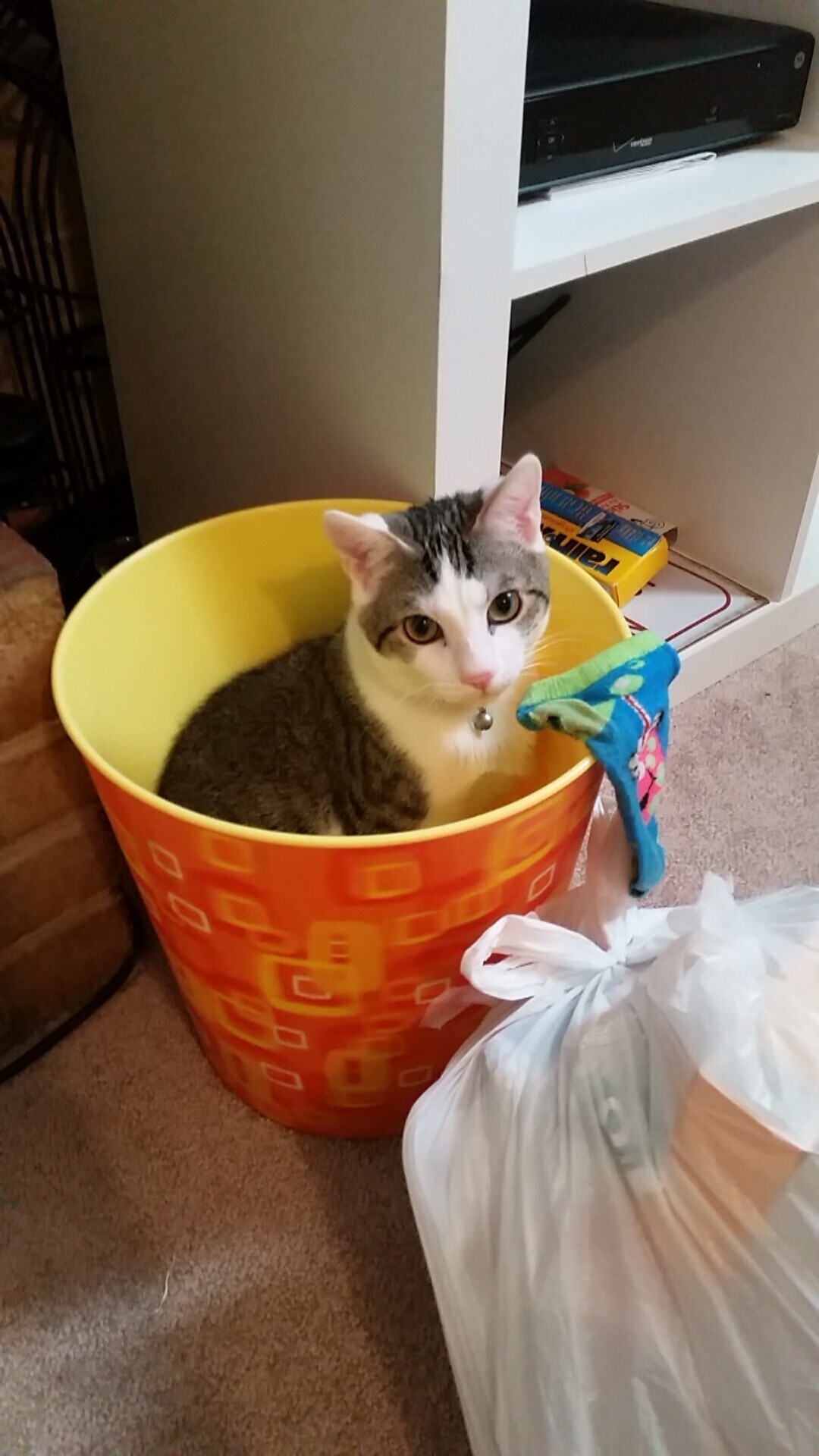 熊猫体育官方试玩-利兹联主场失利，连战连败令球迷担忧，利兹联集锦