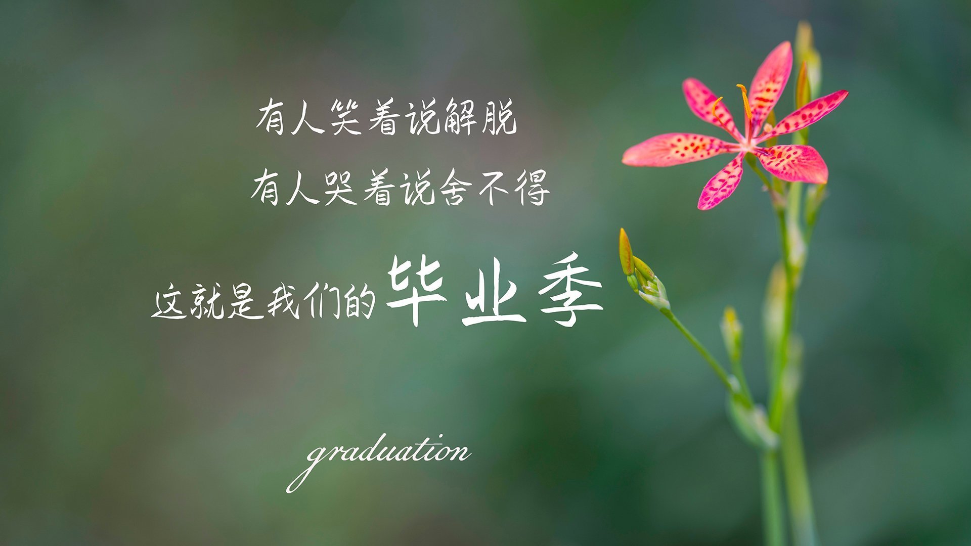 卡利亚里队士气高涨，马德里竞技扼腕叹息，卡利亚里主力阵容