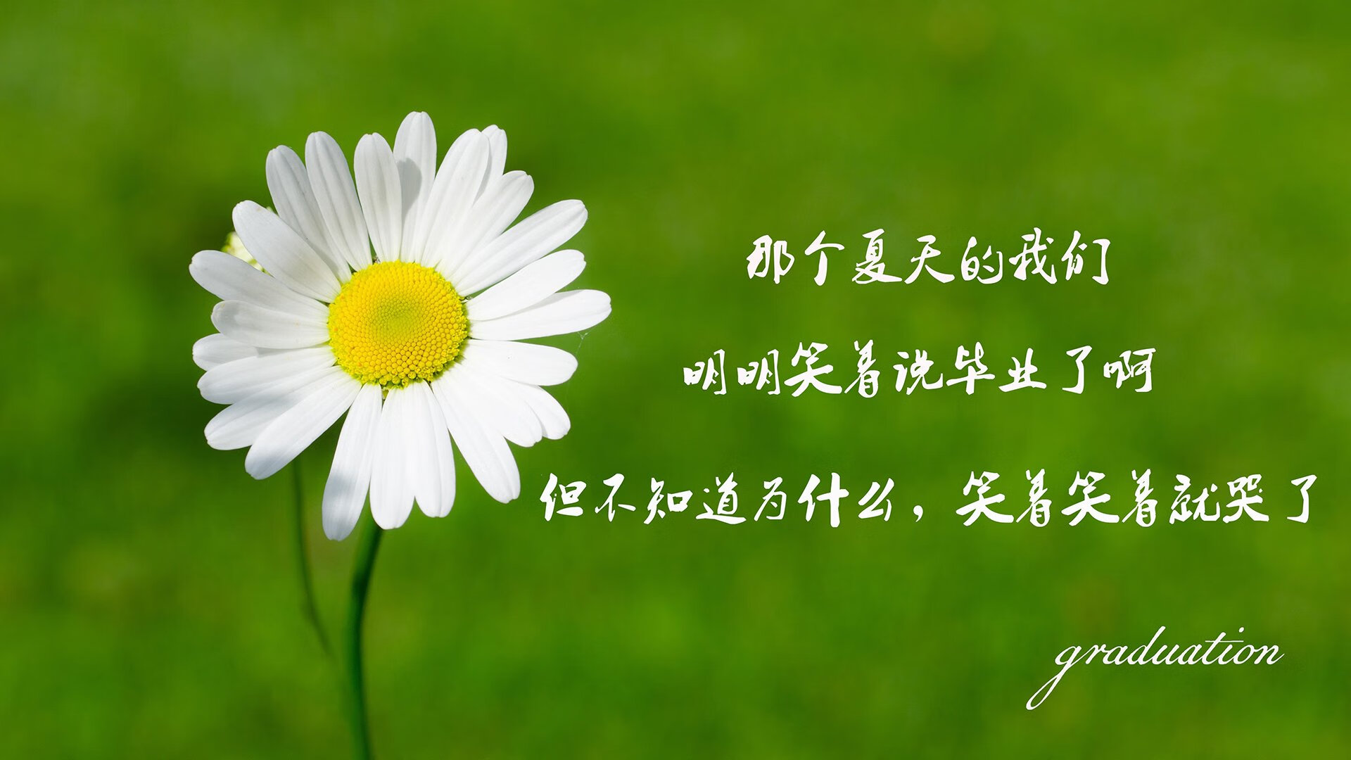 熊猫体育在线-原州东浦新世代主场战绩稳健，原州东浦新世代今天比赛