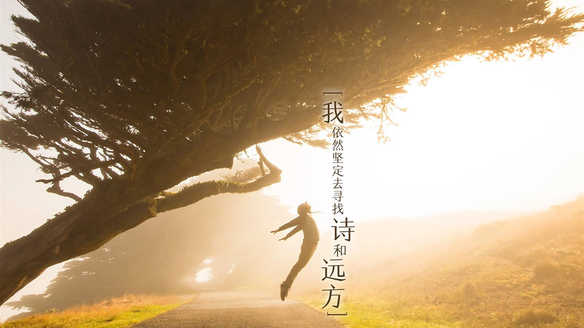 熊猫体育app官网-沃尔夫斯堡主教练出拍新战术，球队未来可期，沃尔夫斯堡现任主教练