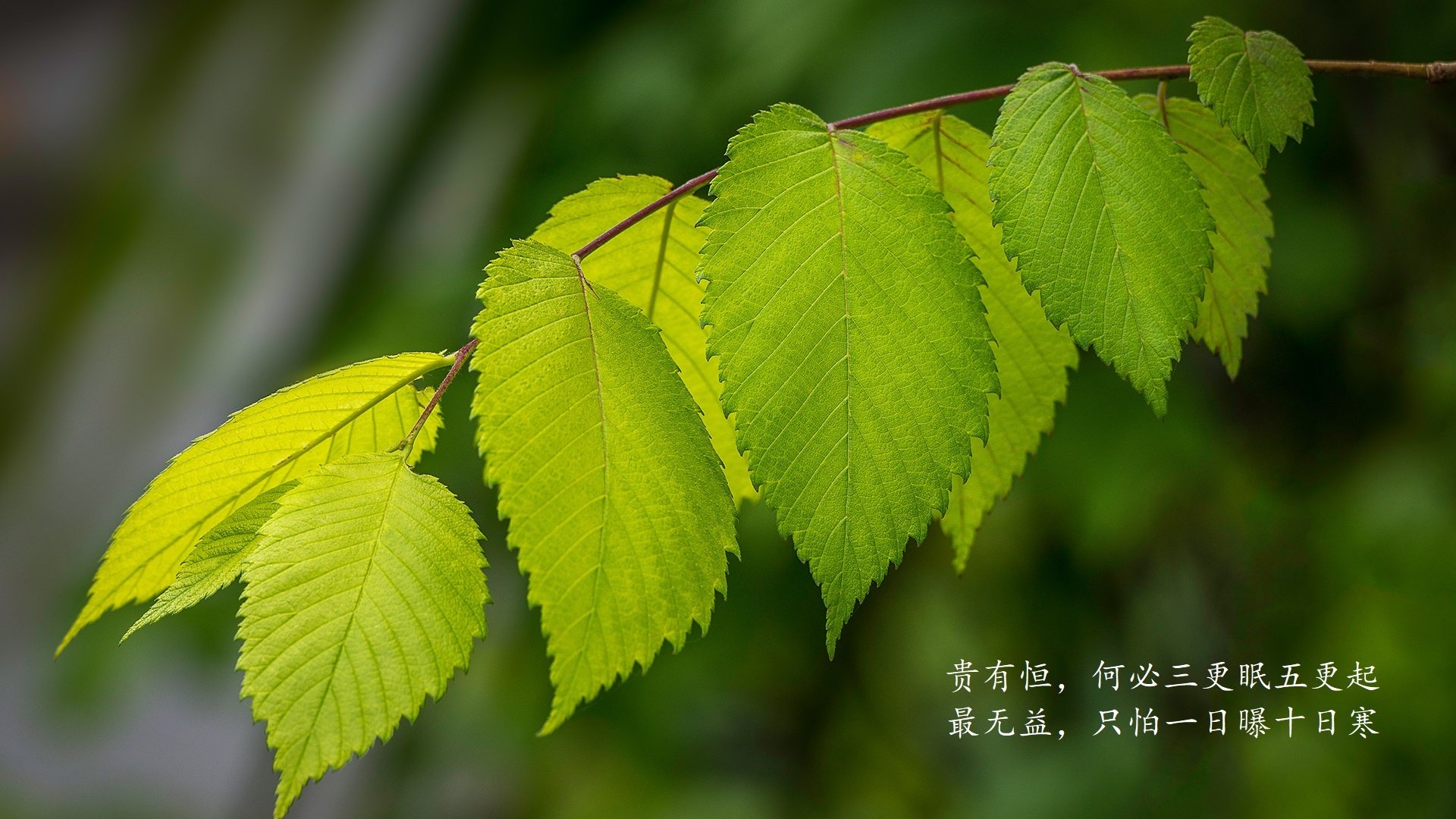 中国足球强化俱乐部财务管理建设健康运营模型，足球俱乐部运营方案及管理